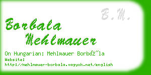 borbala mehlmauer business card